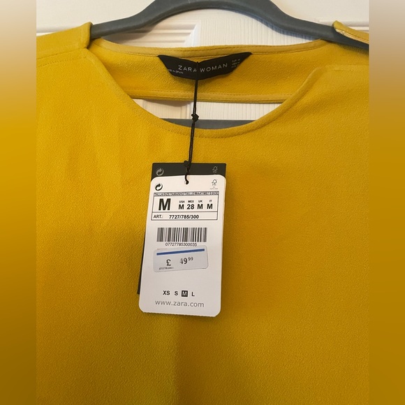 Zara shift dress. Size: M (never worn with tags). Well made. Beautiful color. - Picture 4 of 5